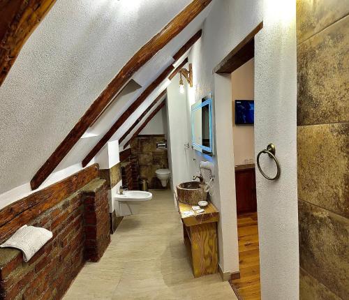 a bathroom with a sink and a toilet in a building at Casa de Lemn Arpasu de jos in Arpaşu de Jos
