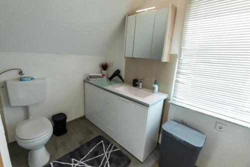 a small bathroom with a toilet and a sink at Hochrhein Ferienwohnung in Albbruck