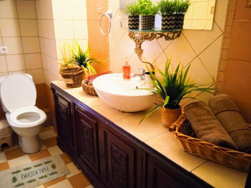 a bathroom with a sink and a toilet and plants at Blue Moon Apartments in Nea Michaniona