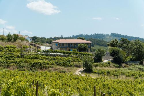 a farm with a building in the middle of a field at Casa de Algar - Enoturismo in Castelo de Paiva