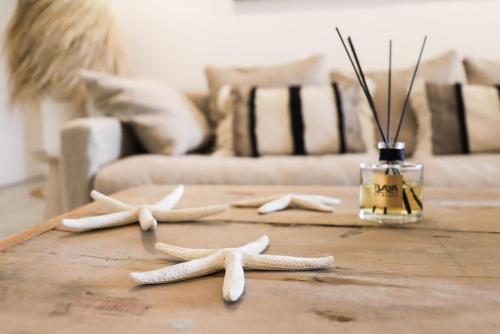 three starfish on a wooden table in a living room at Kirsty's Place in Saint-Jean