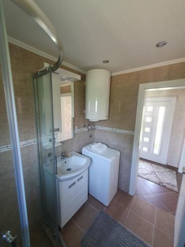 a bathroom with a toilet and a sink and a shower at Apartman Nikolina in Bajina Bašta