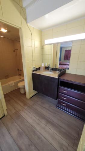 a bathroom with a sink and a toilet and a mirror at Relax Inn in Lucedale