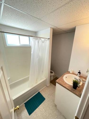 a bathroom with a shower and a sink at Appartment in Iroquois falls in Iroquois Falls