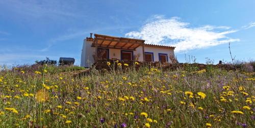 a house on top of a hill with a field of flowers at Casas de Campo do Castro da Cola in Marchicão