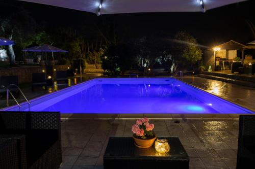 Bassano in TeverinaにあるVilla Vacanze Valentinaの花瓶を用いた夜のスイミングプール