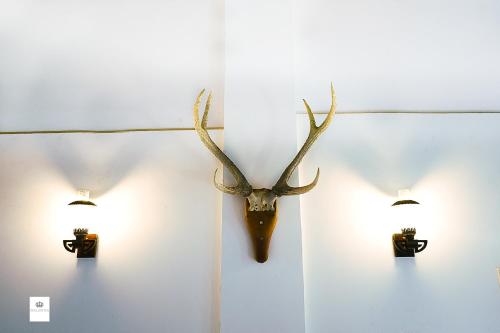 a deer head with antlers on a wall with lights at Walawwa Matale in Matale