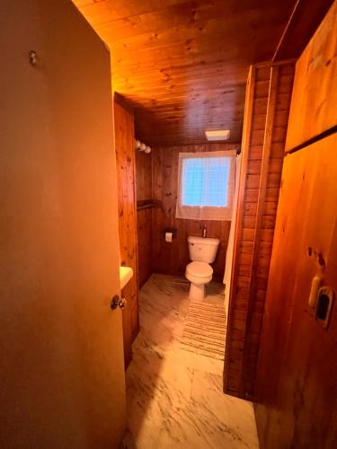 a bathroom with a toilet and a window at Cottage in Crystal Beach in Fort Erie