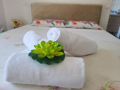 Photo de la galerie de l'établissement Marseille BB, à Marseille