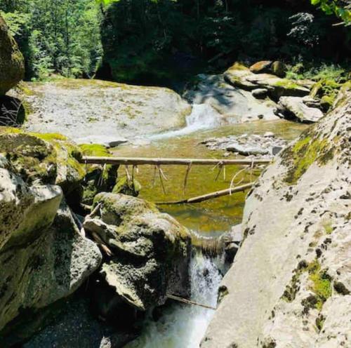 a bridge over a river with rocks and trees at Birkenhof, Haus Schwänli in Herisau