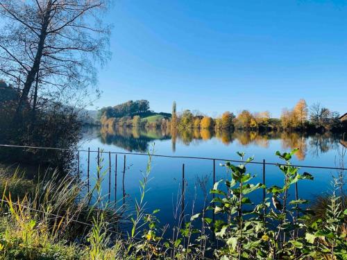 a view of a lake with trees in the background at Birkenhof, Haus Schwänli in Herisau