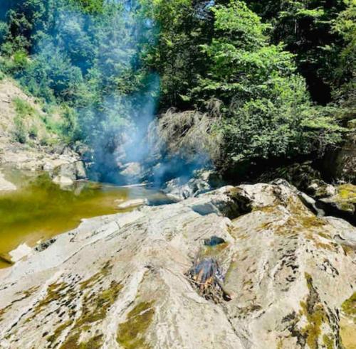 a river with steam coming out of it next to trees at Birkenhof, Haus Schwänli in Herisau