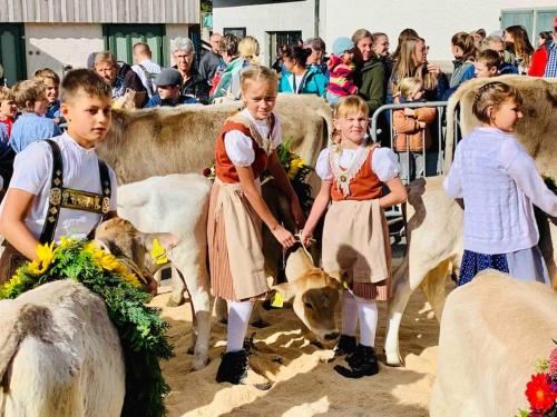 a group of children standing in front of some animals at Birkenhof, Haus Schwänli in Herisau