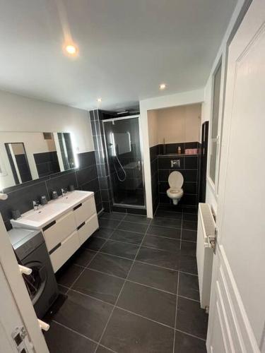 a bathroom with a toilet and a sink and a shower at Maison Jaccuzi et salle cinéma in Lyon