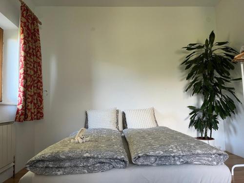 a bedroom with two beds and a potted plant at Doppelzimmer in Innsbruck