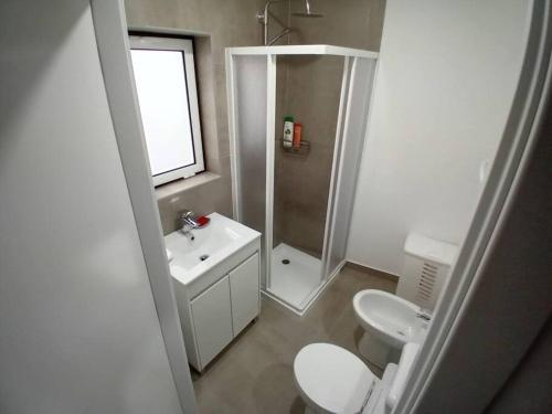 a bathroom with a toilet and a shower and a sink at Apartment in Semeador in Portalegre