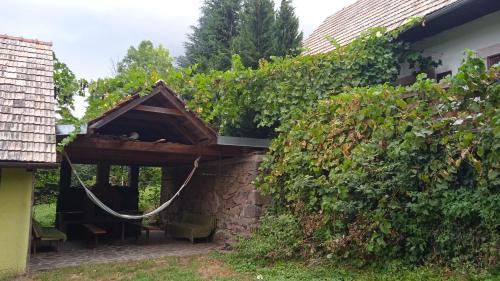 a house with a ivy growing on the side of it at Vidiecky domček na samote in Horný Tisovník