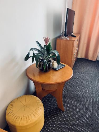 a room with a table with a plant and a stool at Zajazd Kasieńka pokój 2 in Orzysz