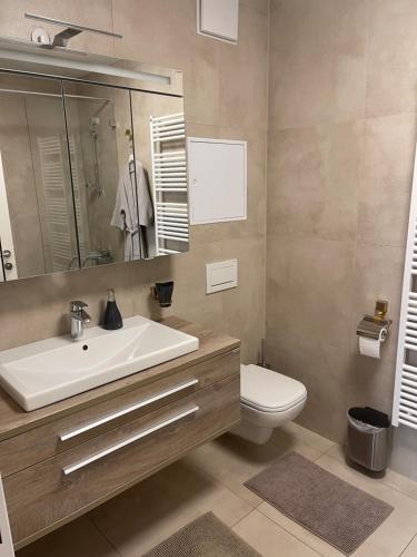 uma casa de banho com um lavatório, um WC e um espelho. em Amazing Austria Center Apartment near UNO City em Viena