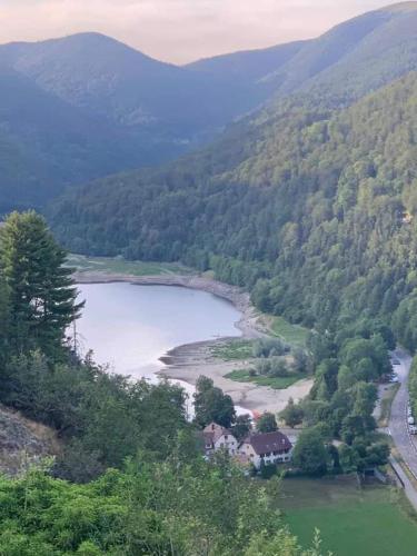 a view of a lake in the middle of a valley at Petite maison au calme avec jardin clôturé les animaux bienvenue in Mollau