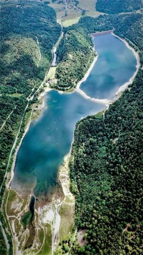an aerial view of a lake in the middle of a forest at Petite maison au calme avec jardin clôturé les animaux bienvenue in Mollau