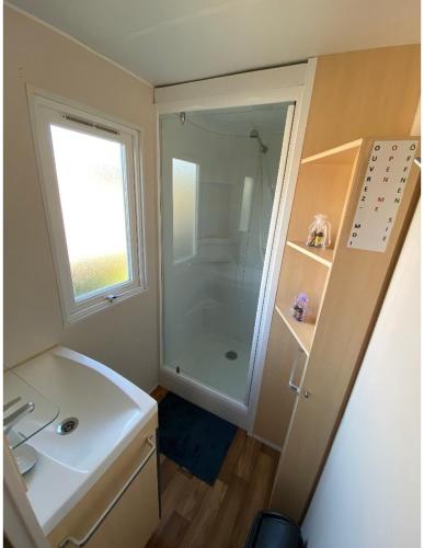 a bathroom with a shower and a white sink at Mobile home proche de Europa Park in Boofzheim