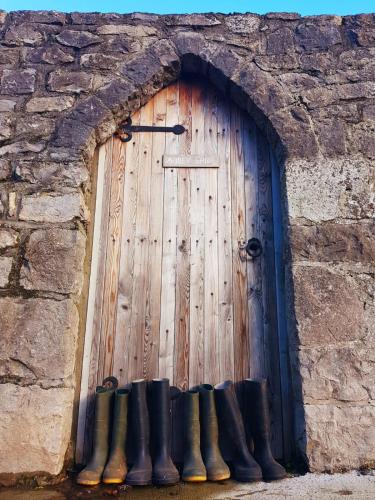 Abbey farm Rhuddlan glamping – Photos 5