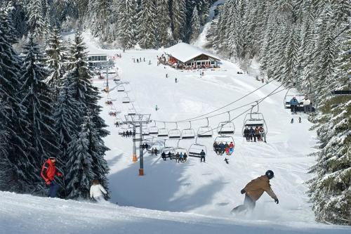 a person riding a snowboard on a ski lift at Petite maison au calme avec jardin clôturé les animaux bienvenue in Mollau
