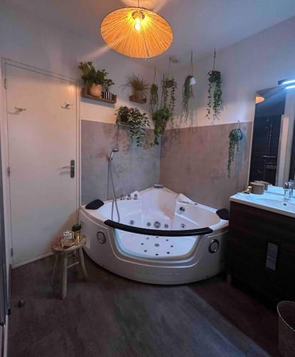 een badkamer met een bad en een wastafel bij Studio « L’instant présent » balnéothérapie in Gaillac