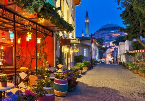 伊斯坦堡的住宿－澤伊內普蘇丹酒店，一条有鲜花的街道和一座清真寺