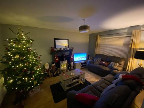 a living room with a christmas tree and a couch at Loughview Gardens - family friendly in Omagh