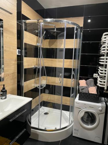 eine Dusche und eine Waschmaschine im Bad in der Unterkunft Luxury Apartment in Tyczyn