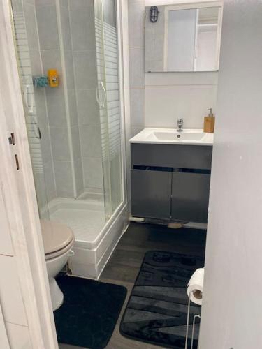 a bathroom with a shower and a toilet and a sink at Studio Cosy(5mn Paris)Metro/RER in Alfortville