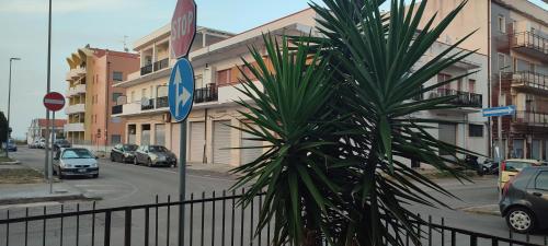 uma palmeira em frente a uma rua com carros em Casa di Nalo' em Termoli