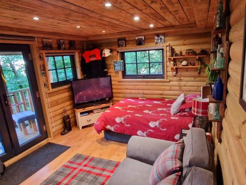 Miners log cabin في Blaina: غرفة نوم مع سرير وتلفزيون في كابينة خشبية