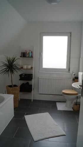 ein Bad mit einem Waschbecken, einem WC und einem Fenster in der Unterkunft Ferienwohnung Siegen in Siegen