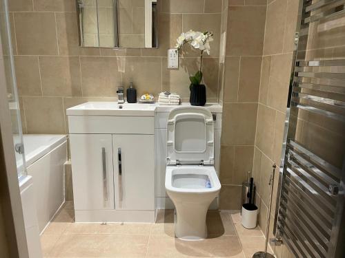 a bathroom with a white toilet and a sink at The Retreat at Harlow in Potter Street