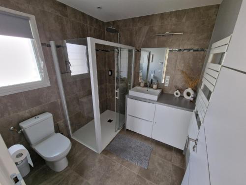une salle de bain avec toilettes, douche et lavabo dans l'établissement Au Douni - Jacuzzi, jardin, parking couvert et bureau équipé, à Aubais