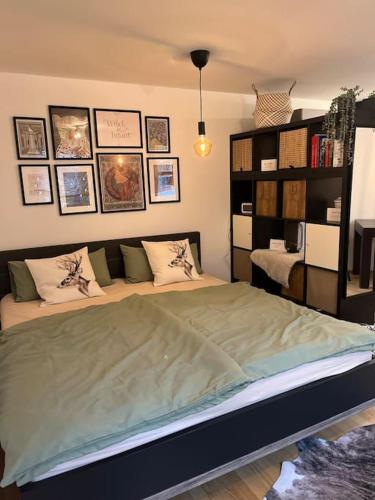 ein Schlafzimmer mit einem Bett und einem Bücherregal in der Unterkunft Modernes Appartement Sauerland in Hachen