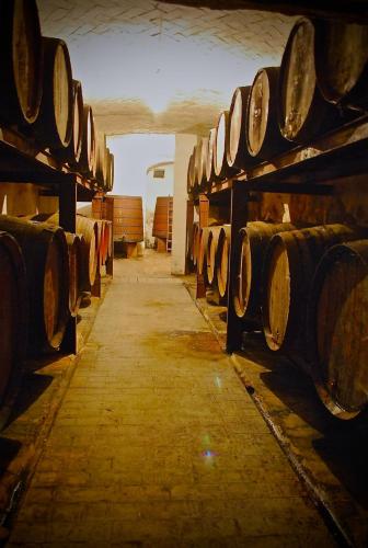 a row of barrels in a wine cellar at Castell de Riudabella in Vimbodí