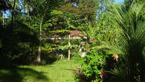 Zahrada ubytování ACACIA'S Cottages with Starlink Wifi