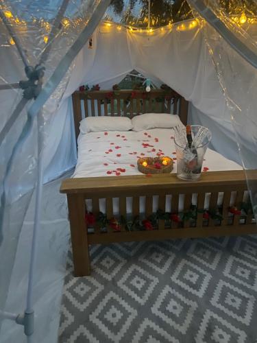 a bed in a plastic tent with flowers on it at Country Bumpkins Luxury Igloo in Wellingore