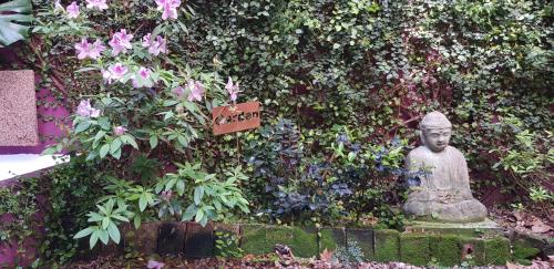 Zahrada ubytování InspireBA - Garden