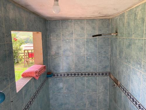 Łazienka z prysznicem wyłożona jest niebieskimi kafelkami. w obiekcie Villa Medici Macarena, finca eco-turistica 