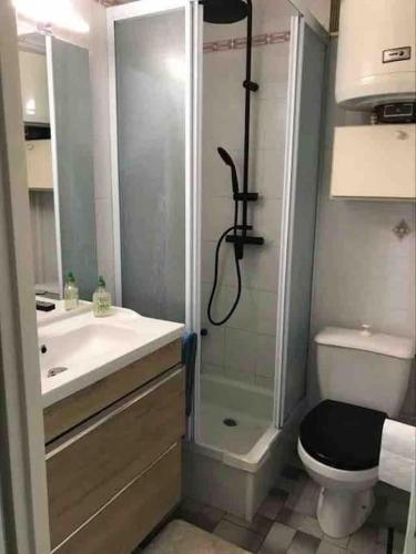 une salle de bain avec une douche, des toilettes et un lavabo dans l'établissement Agde : appartement vue sur le port, au Cap d'Agde