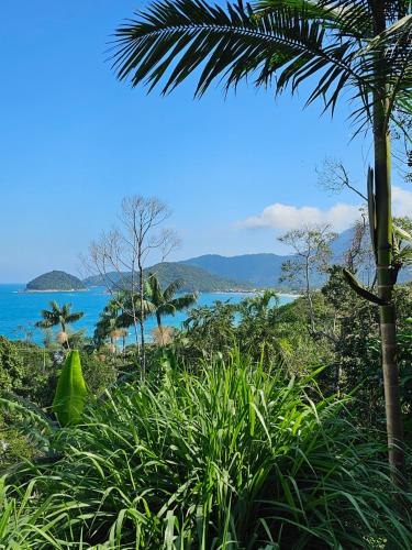 a view of a beach with a palm tree and the ocean at Pousada Encontro das Águas in Trindade