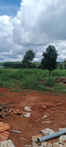 a dirt field with two trees in a field at Mangyang garden in Dè Alay Kour