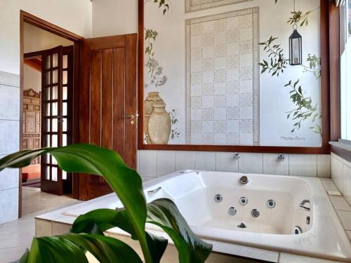 a bath tub in a bathroom with a plant at Casa de Novela in Pirenópolis
