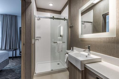 een badkamer met een wastafel en een douche bij SpringHill Suites by Marriott Detroit Sterling Heights in Sterling Heights