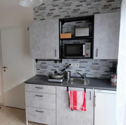 a kitchen with a sink and a microwave at FeWo Harzblickterrasse Goslar in Goslar